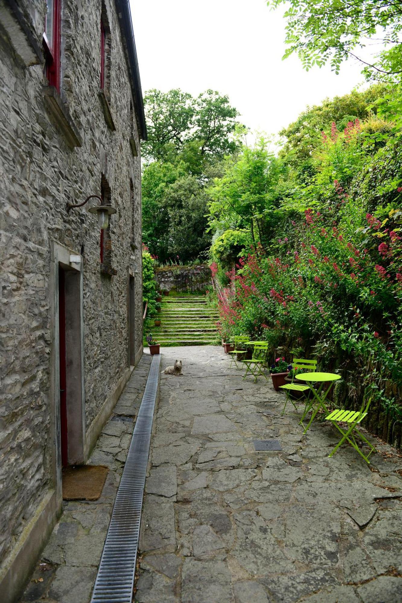 Barnabrow Country House Killinagh Exteriér fotografie